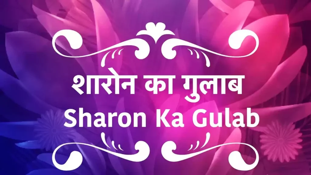 sharon ka gulab lyrics Sharon Ka Gulab Hai Tu Mera Masiha lyrics