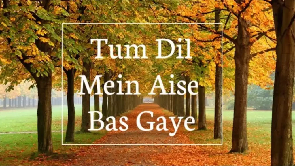Tum Dil Me Aise Bas Gaye Lyrics (Dil Me Jaan Me) Amit Kamble