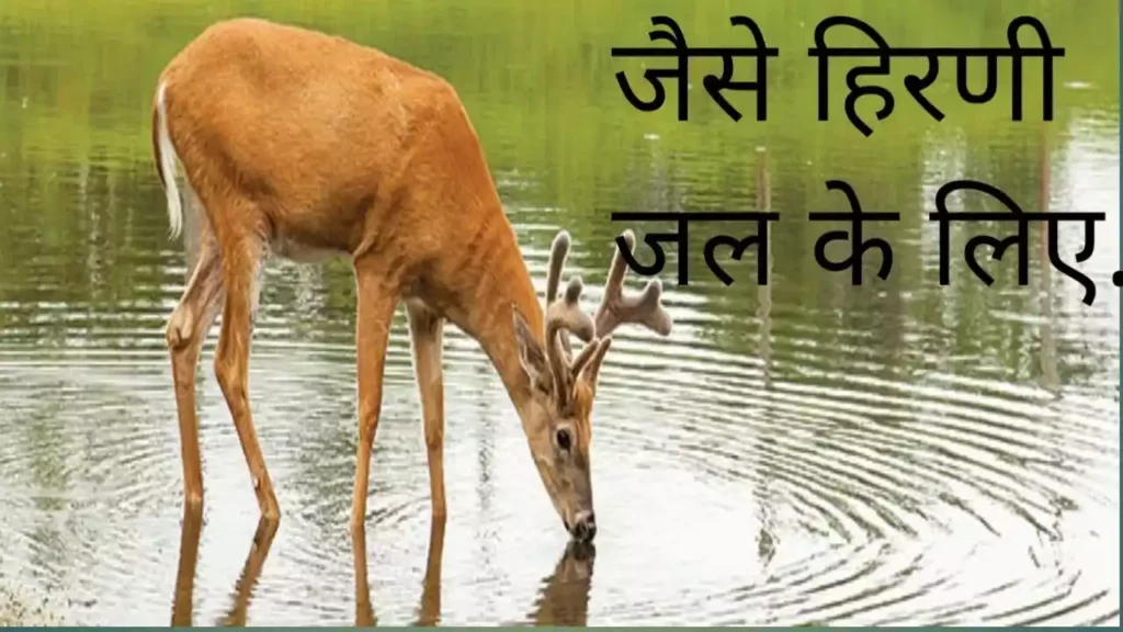Jaise Hirni Jal Ke Liye Lyrics